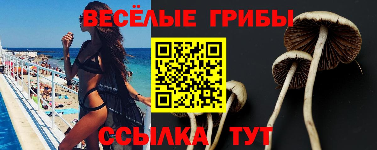 Псилоцибиновые грибы мицелий  Галлюциногенные грибы мухоморы  Кирово-Чепецк  Вход с VPN 